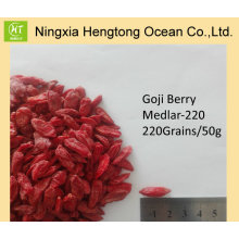 New Crop Ningxia Zertifizierte Goji Beeren Bulk Großhandelspreis